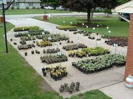 Starting A Plant Nursery Garden Nursery Plant Nursery Nursery Garden