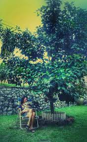 There are many unusual part time jobs in china that are not only interesting, but well paid too. Balik Kampung Tanam Avocado A Trans Woman Returns To Taiping Queer Lapis