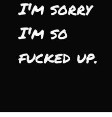 Im Sorry Im So Fucked Up Meme On Sizzle