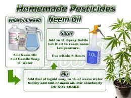 How to use neem oil on plants in the garden? How To Make Neem Oil Pesticides Percys Grow Room