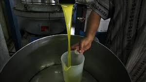 L Huile D Olive Une Ingeniosite A Toute Epreuve