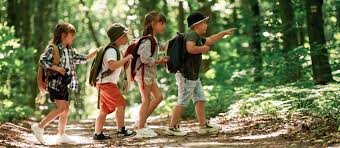 Nature exploration