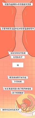 知乎专栏