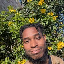 What's a better anime, DBZ or Attack