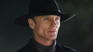 Westworld Production Suspended After Cast Member Is Injured