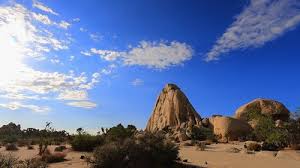 601 best wilderness ✅ free vector download for commercial use in ai, eps, cdr, svg vector illustration graphic art design format.forest, mountain, outdoor, wildlife, desert, camping, nature, wild, hunting. Jldyjrw C Tlhm