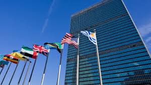 Image result for multiple blue united nations flags
