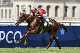 Cravache d'or 2015 / 2016 fan page. Pierre Charles Boudot Waldgeist Pierre Charles Boudot Photos Zimbio