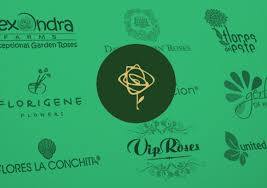 We provide flowers delivery services all across singapore, even to the remotest areas using some of the best flower shops in singapore. Buy Direct Flower Wholesale In Singapore Dwf Group