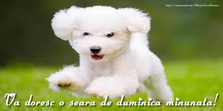 Ziua duminicii imi aduce aminte de atotputernicia ta, stapane, cu care ai zidit lumea si ai rascumparat pe om. Felicitari De Buna Seara Va Doresc O Seara De Duminica Minunata Mesajeurarifelicitari Com