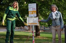 (2) bei der verlängerung der nach § 33 der friedhofssatzung zeitlich begrenzten nutzungsrechte an wahlgräbern oder urnenwahlgräbern sind die sätze des gebührenverzeichnisses maßgebend, die beim erlöschen des rechts gegolten haben. Endlich Wieder Schaukeln Auf Dem Spielplatz Stuttgarter Zeitung