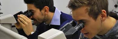 Facoltà di Medicina e Chirurgia 2024/2025