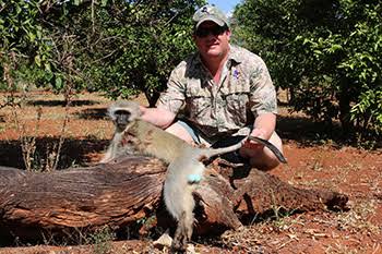 Vervet Monkey Hunting | Africa Hunt Lodge | South Africa Hunts