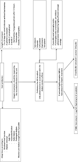 Flow Chart Summarizing Approaches For Systemic Antibiotic