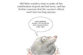 La chine revendique déjà près d'un million de personnes vaccinées dans. The Science Behind Covid 19 Singapore News Top Stories The Straits Times