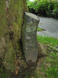 70 minutes — compare public transit, taxi, biking, walking, driving, and ridesharing. Joitmc Free Full Text Joseph Beuys Rediscovery Of Man Nature Relationship A Pioneering Experience Of Open Social Innovation Html