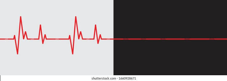 Red Heartbeat Line Life Black Heartbeat Stock Vector (Royalty Free)  1660928671 | Shutterstock