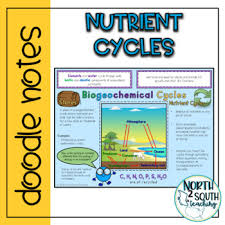Explain how the recycling of nutrients sustains life on. Nutrient Cycles Worksheets Teaching Resources Tpt
