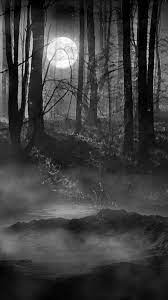 We did not find results for: Misty Forest Wallpaper Misty Dark Forest Background Dark Misty Forest Misty Forest Creepy Forest Wallpaper Misty Forest Dark Forest