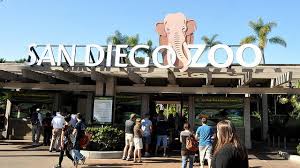 San Diego Zoo Entrance San Diego Zoo San Diego Balboa Park