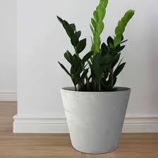 Check spelling or type a new query. China Home Decoration Plastic Round Flower Pot Plant Pot With Stone Effect For Indoor And Outdoor Garden Planter China Flower Pot And Plant Pot Price