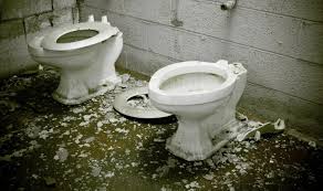 Can a fish live in a toilet? 5 Gross Things You Probably Didn T Know You Can Recycle