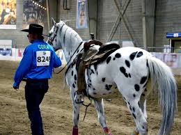 The Rocky Mountain Regional Rodeo in Colorado is America's longest-running  gay rodeo