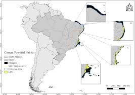 Roberta vitória is on facebook. Modeling Impacts Of Climate Change On The Potential Habitat Of An Endangered Brazilian Endemic Coral Discussion About Deep Sea Refugia