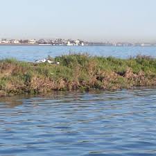 CAPT. JOHN GRIM “THE SALTY DOC”
