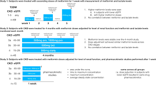 Safe Use Of Metformin In Adults With Type 2 Diabetes And Chronic Kidney Disease Lower Dosages And Sick Day Education Are Essential Canadian Journal Of Diabetes