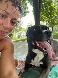 Lost dog found at Beachside Bliss