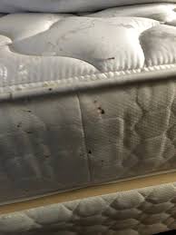 Bed & mattress in indianapolis, indiana. Bed Bug Blood Stains On Mattress Picture Of Ramada By Wyndham Indianapolis Speedway Tripadvisor