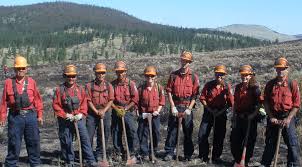 Bc wildfire apk is a tools apps on android. Wildfire Contact Channels Province Of British Columbia