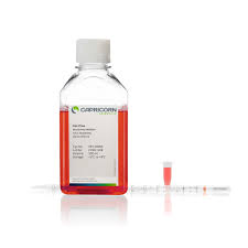 We did not find results for: Verovax Serum Free Medium W O L Glutamine Capricorn Scientific