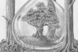 Als nächstes ziehe einen großen kreis um die äste und ergänze ihn durch wellenlinien für die blätter. Laub Baum Zeichnen Lernen Zeichenkurs