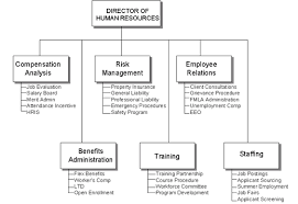 human resources department structure hr staff organizational