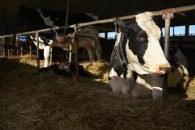 List Of Agriculture Careers Their Salaries Agriculture Careers Animal Science Agriculture