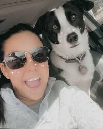 Fox Run Veterinary Hospital