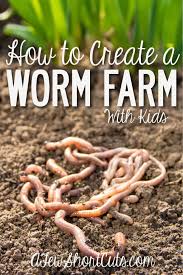 We did not find results for: How To Create A Worm Farm With Kids A Few Shortcuts