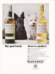 Pin On Advertising With Scotties