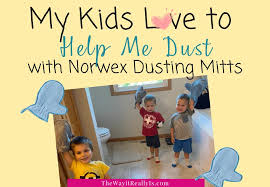 Norwex Dusting Mitt Blue | Shop Norwex Online | Independent Norwex  Consultant