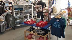 Image result for Diclis