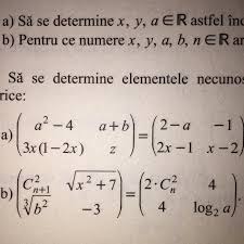 Ne amintim regula că numărul de. Cine Se Pricepe La Matrici Sa Se Determine Elementele Necunoscute Din UrmÄƒtoarele EgalitÄƒÈ›i De Matrice Brainly Ro