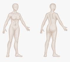 Image of anime drawing mannequin at getdrawings com free for. Drawing Mannequins Creepy Anime Mannequin Base Hd Png Download Kindpng