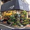 Send flowers to japan.com reviews. Https Encrypted Tbn0 Gstatic Com Images Q Tbn And9gcrdxyjkj822u Xuzwaeusm 5z M9x Sop6hfknkbxa Usqp Cau