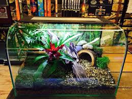 Pin On Vivarium