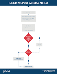 Check spelling or type a new query. Immediate Post Cardiac Arrest Care Algorithm Acls Com Resources