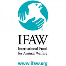 Founded In 1969 Ifaw The International Fund For Animal Welfare Saves Individual Animals Animal Populations And Habita Animal Welfare Marine Mammals Animals
