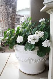 Pin On Cottage Decor