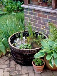 Balkon Ideen Selber Machen Ein Mini Teich Im Topf Balkon Diy Zenideen Miniteich Hinterhof Garten Miniaturgarten